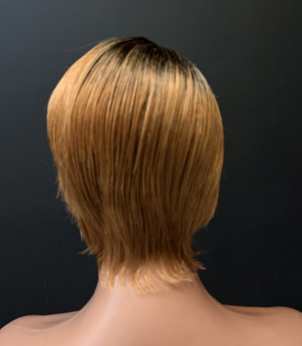 Ombré Brown Wig (Human Hair)