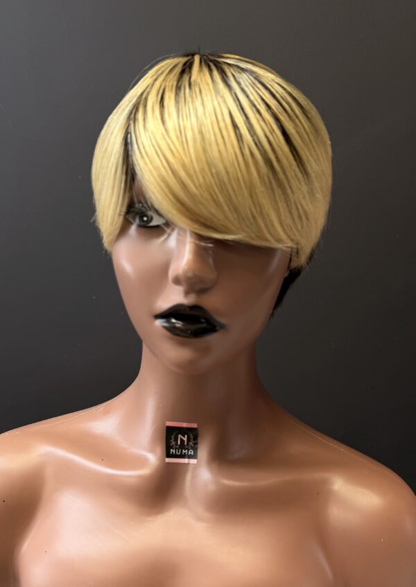 Gold & Black Ombré Wig (Human Hair)
