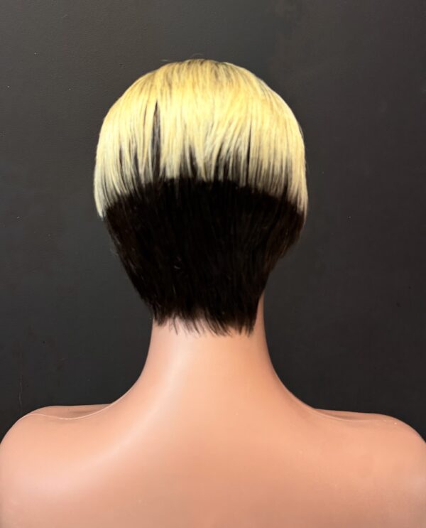 Gold & Black Ombré Wig (Human Hair)