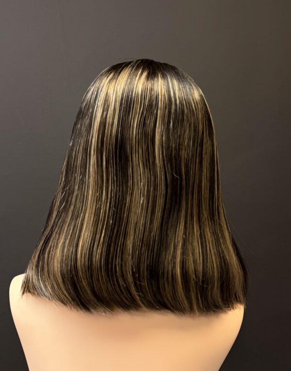 Highlight Human Hair Wig 6.5 closure